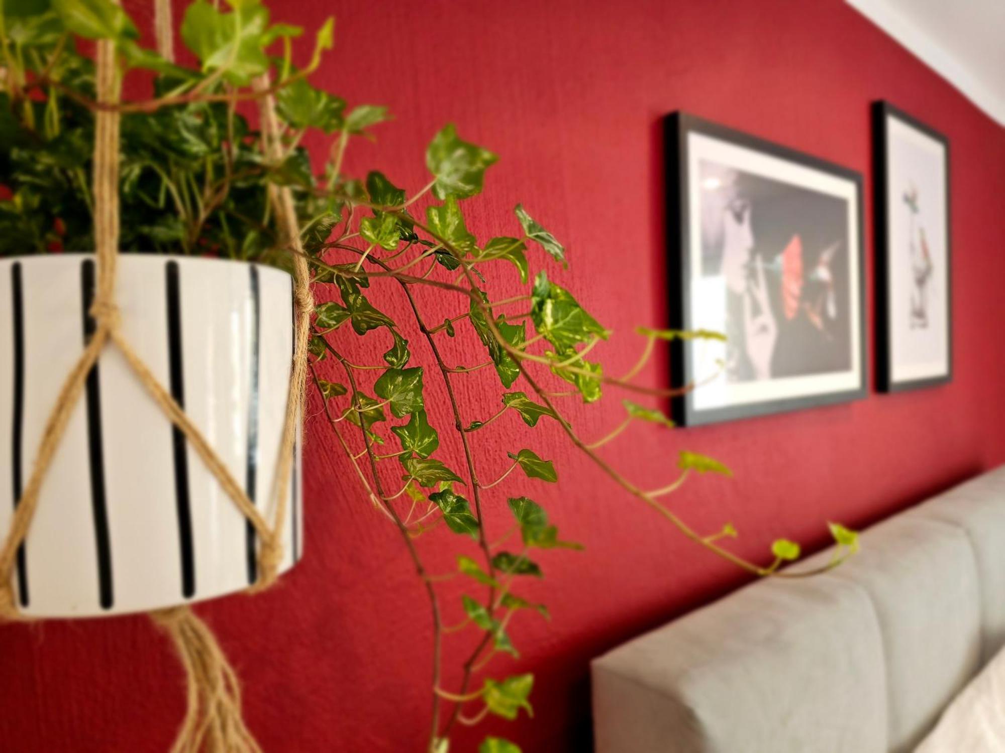 Kolibri - Design Maisonette - Nintendo Switch, Streaming, Bikestore, E-Wallbox Marburg Extérieur photo