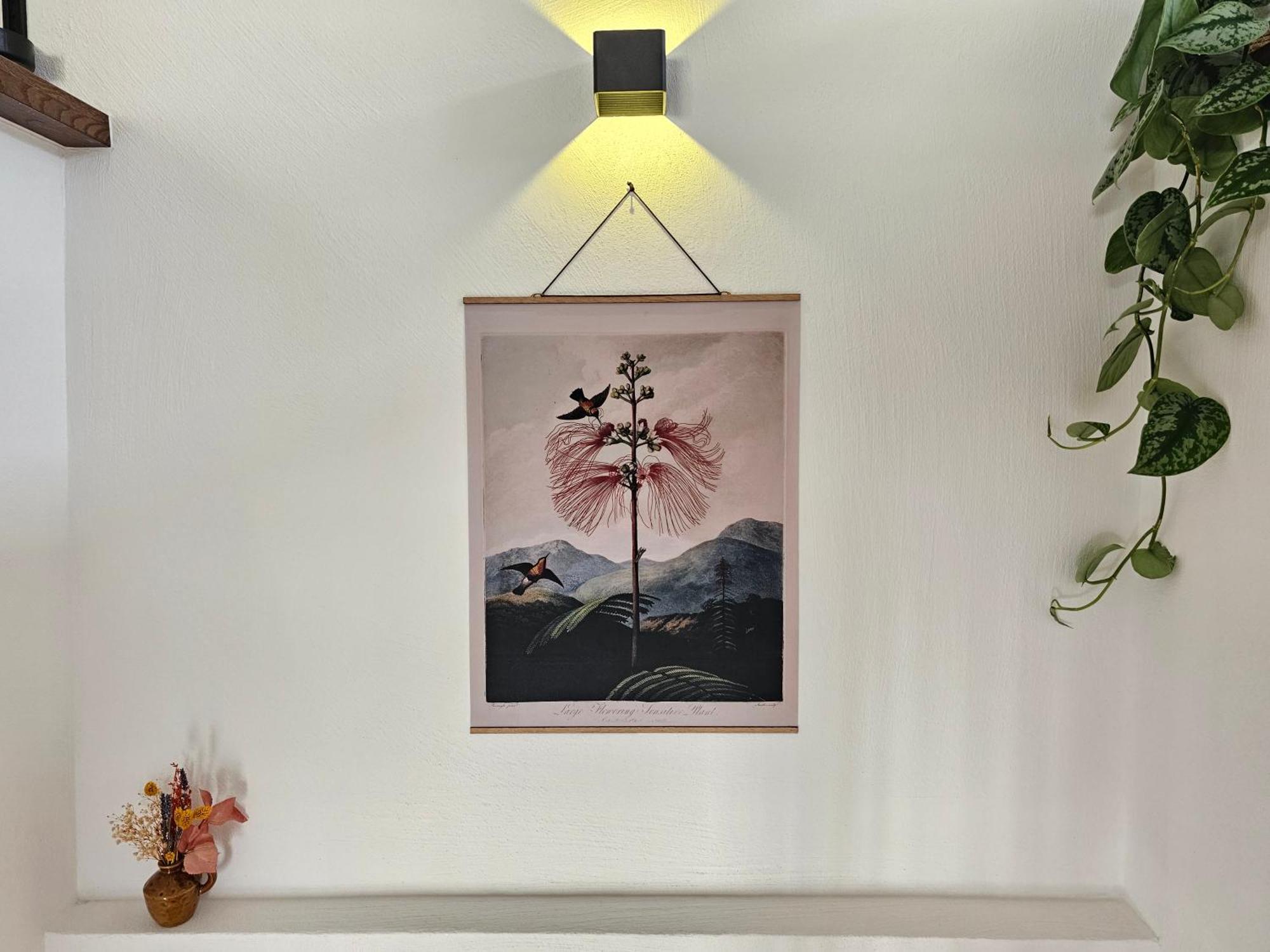 Kolibri - Design Maisonette - Nintendo Switch, Streaming, Bikestore, E-Wallbox Marburg Extérieur photo